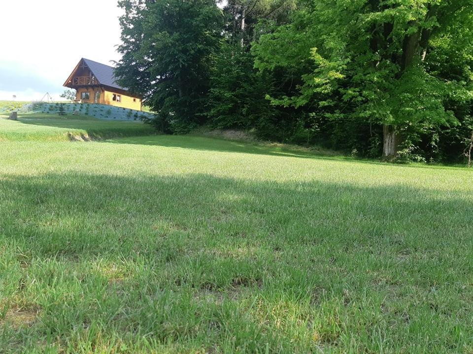 Domek Na Wzgorzu "Wilk" Swiatkowa Mala Luaran gambar